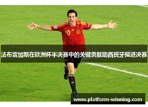 法布雷加斯在欧洲杯半决赛中的关键贡献助西班牙挺进决赛