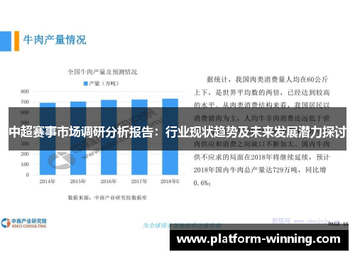 中超赛事市场调研分析报告：行业现状趋势及未来发展潜力探讨