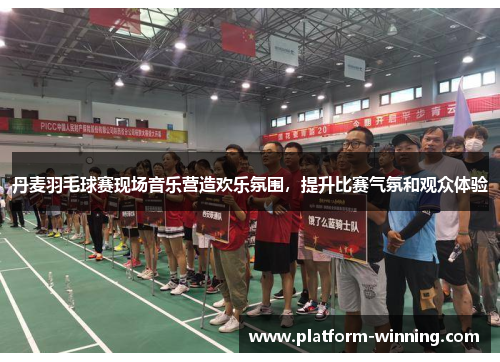 丹麦羽毛球赛现场音乐营造欢乐氛围，提升比赛气氛和观众体验
