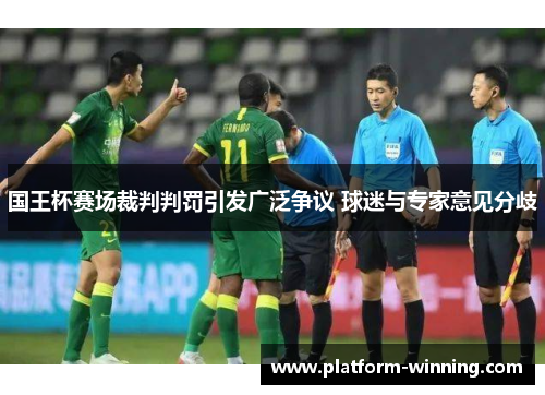 国王杯赛场裁判判罚引发广泛争议 球迷与专家意见分歧