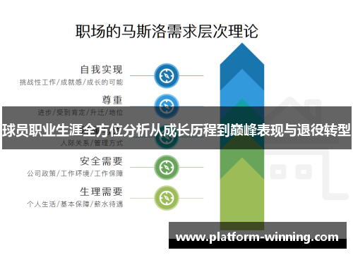 球员职业生涯全方位分析从成长历程到巅峰表现与退役转型