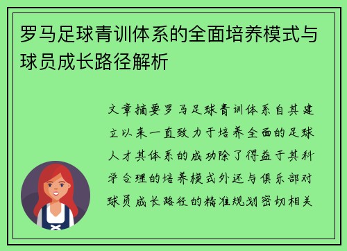 罗马足球青训体系的全面培养模式与球员成长路径解析