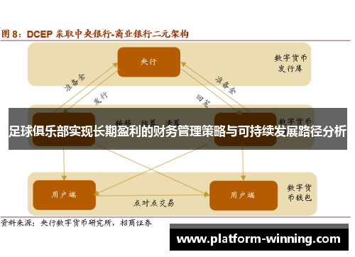 足球俱乐部实现长期盈利的财务管理策略与可持续发展路径分析